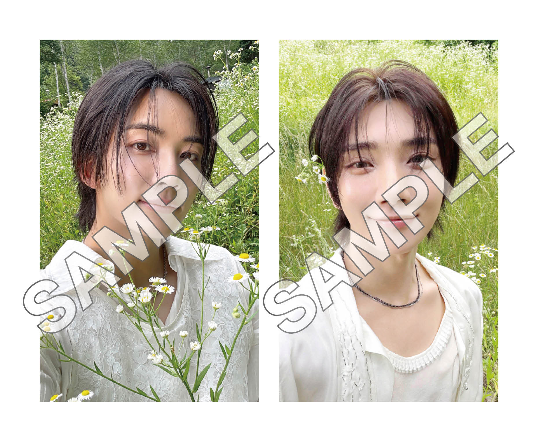 NEWS | SEVENTEEN Japan official site